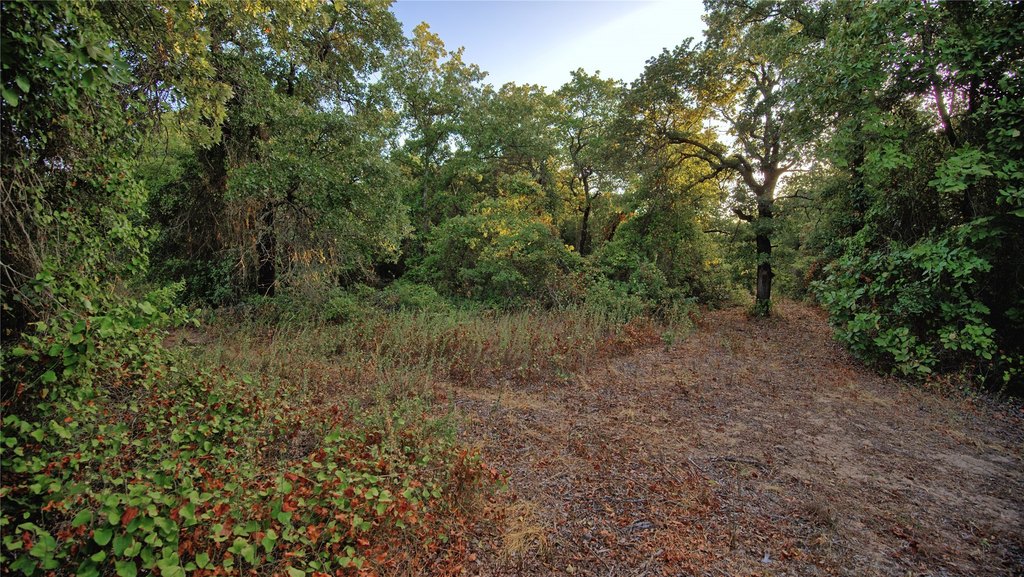 Picture 12