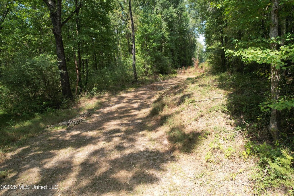Picture 7