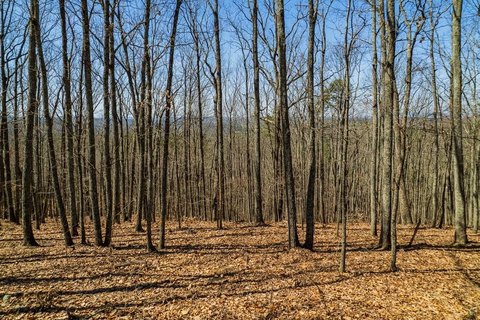 Talking Rock Vacant Mountain Lot
