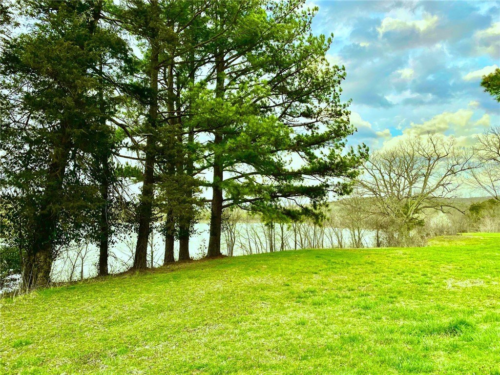 Picture 28