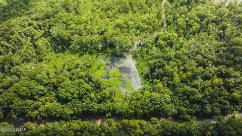 Trenton, TN Hunting Land