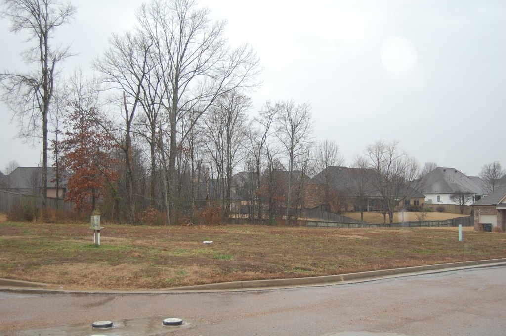 Picture 3
