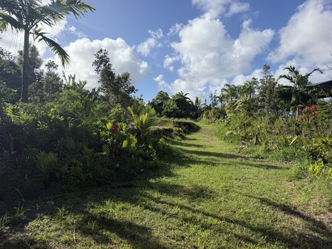 Land, Pahoa, HI