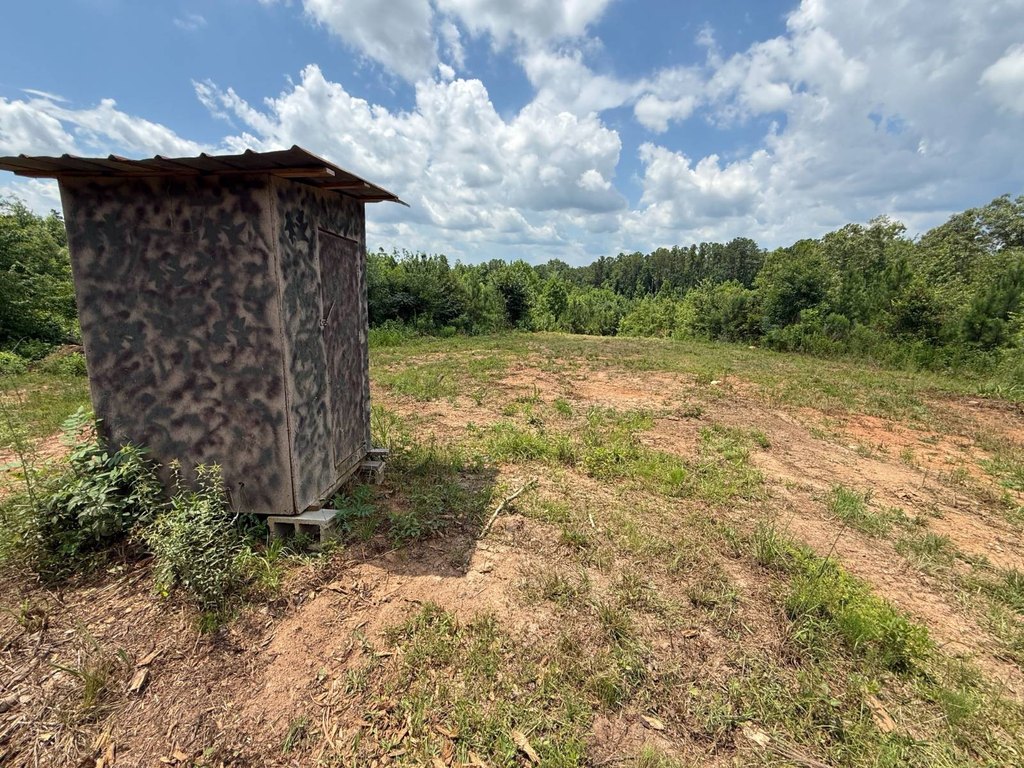 Picture 21