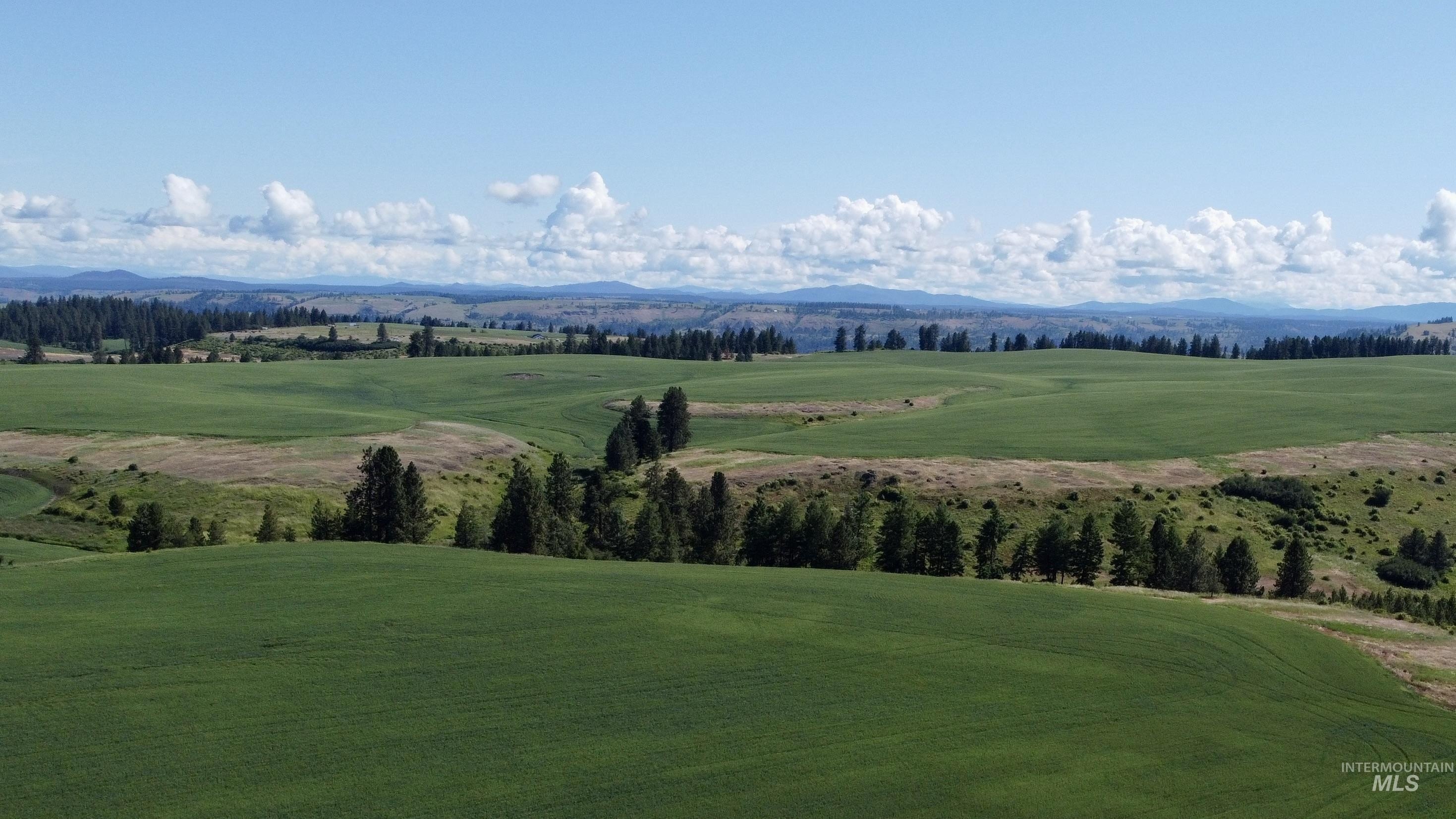 120 Acres Farmable Buildable Land
