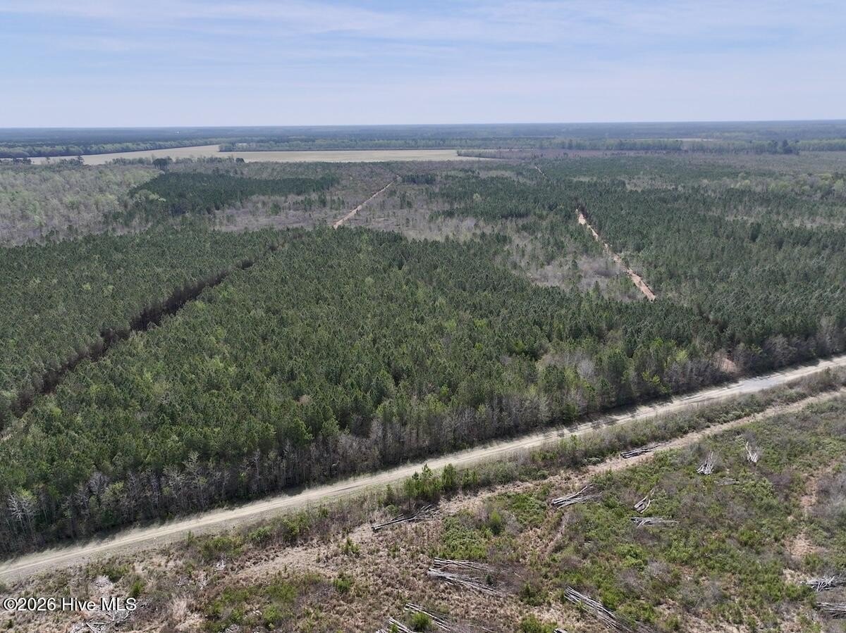 55 Acre Hunting and Recreation Land