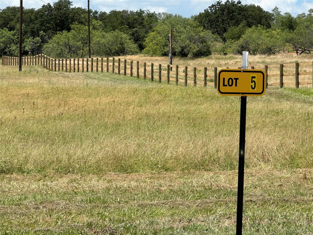 Picture 5