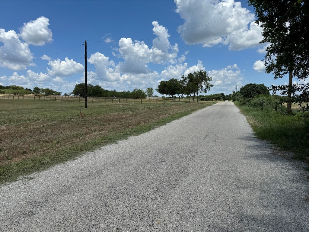 Picture 3