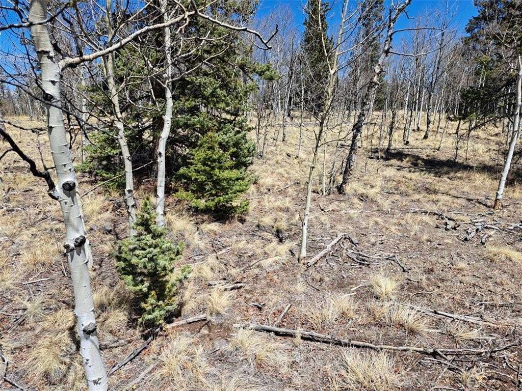 Picture 13