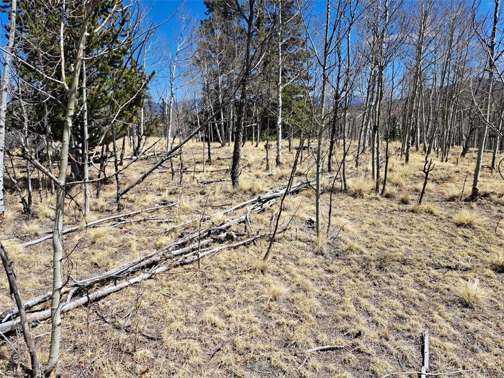 Picture 25