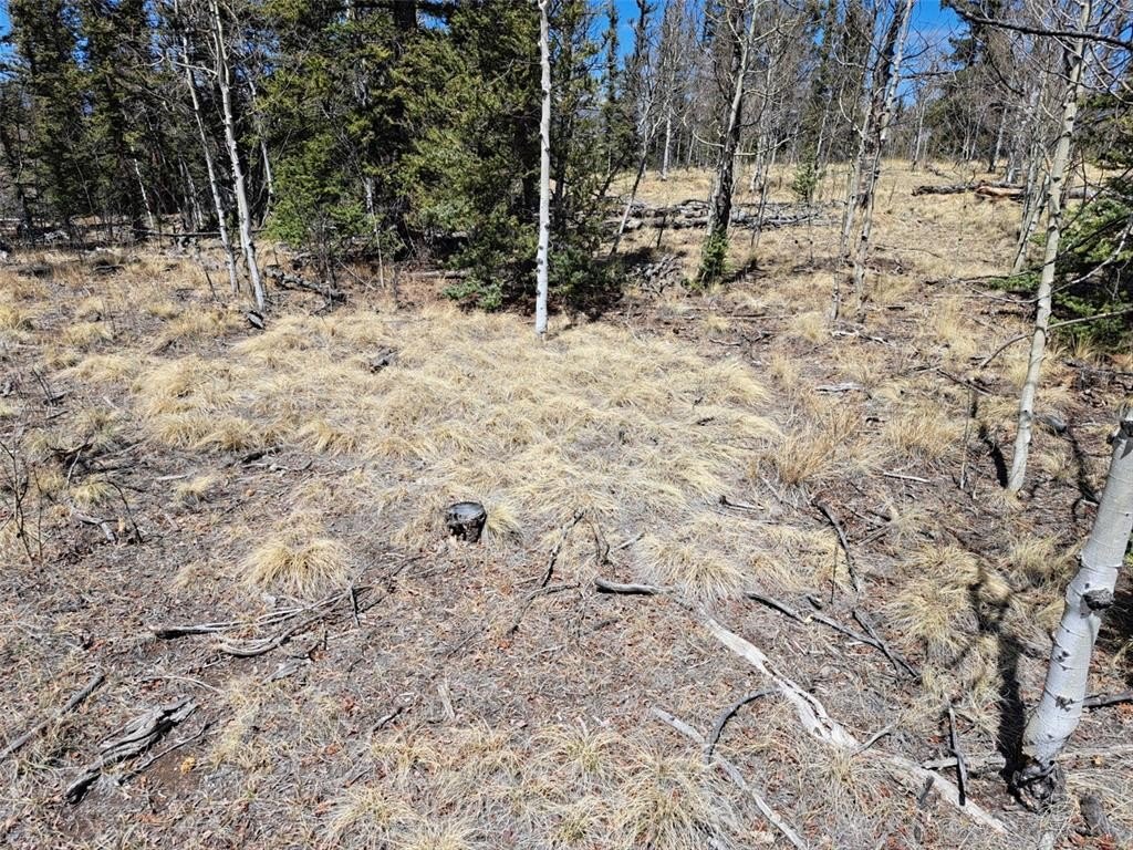 Picture 26