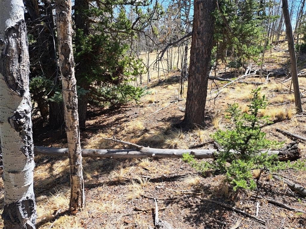 Picture 14