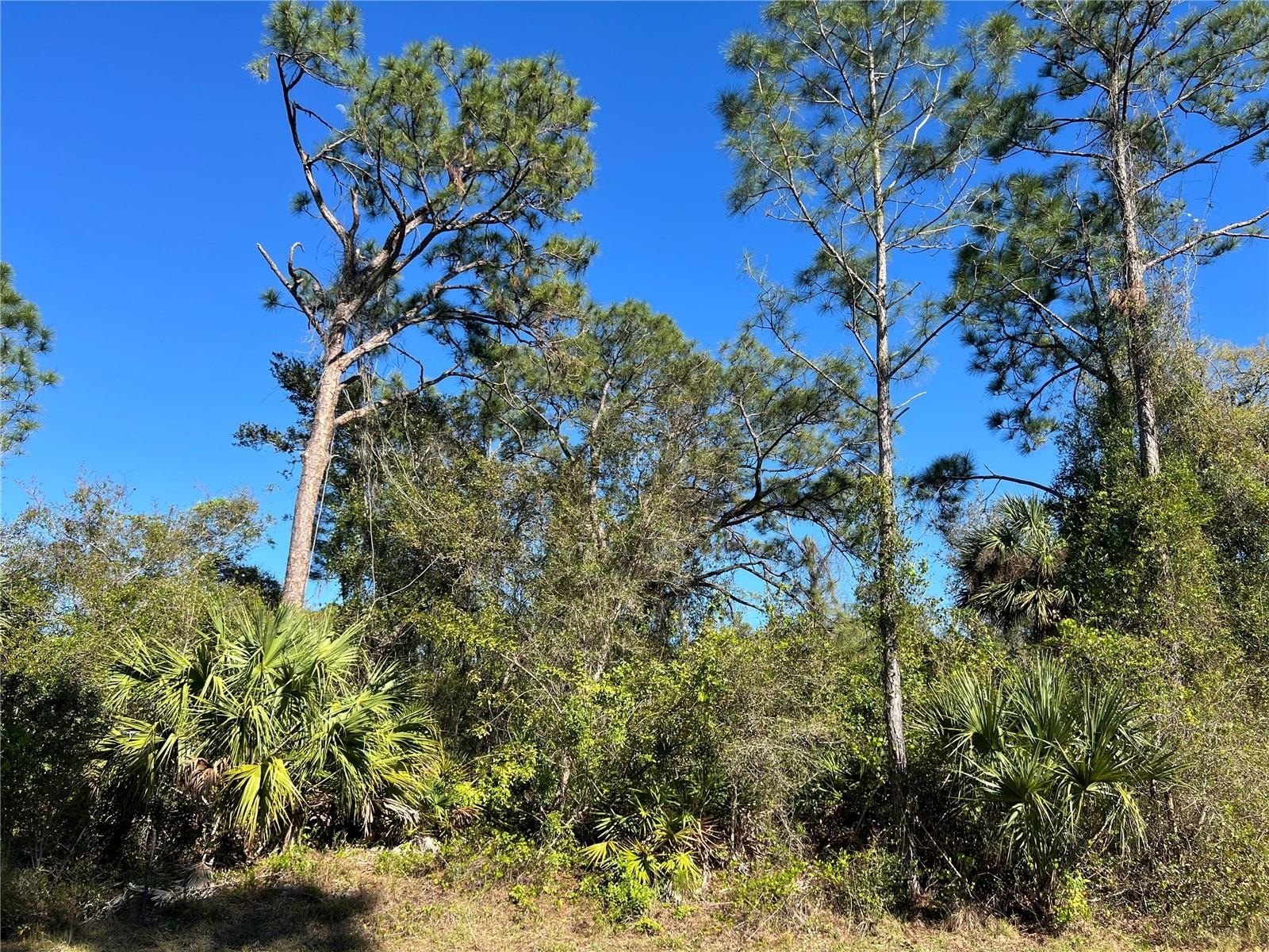 Residential Land in North Port