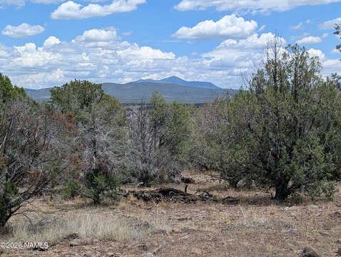 40 Acres in Ash Fork