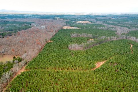 164 Acres of Virginia Land
