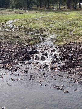 Westwood Land with Stream Access