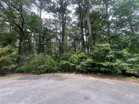 Wooded Lot in Park Place