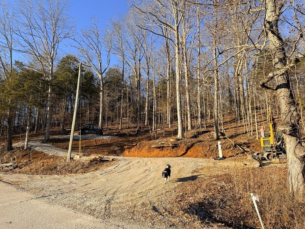 Ready-to-Go Lot Near Wolf River