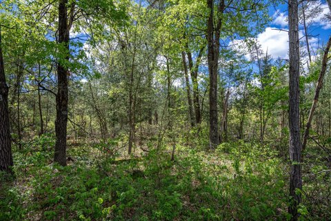 Wooded Buildable Recreation Lot