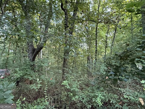 Land, Gainesville, GA