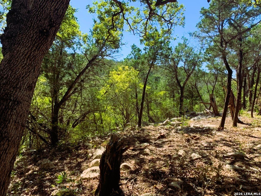 Picture 48