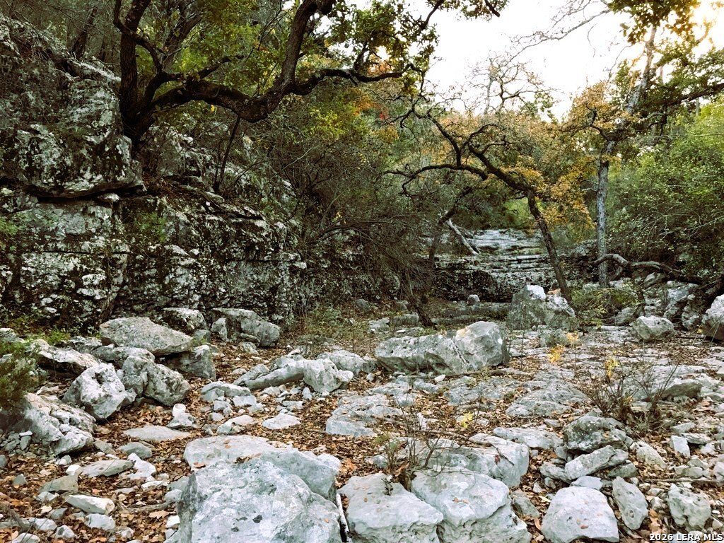 Picture 43