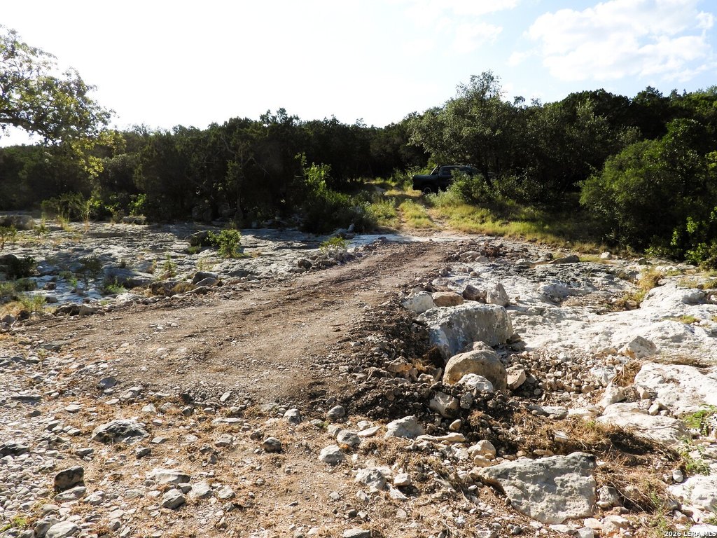 Picture 24
