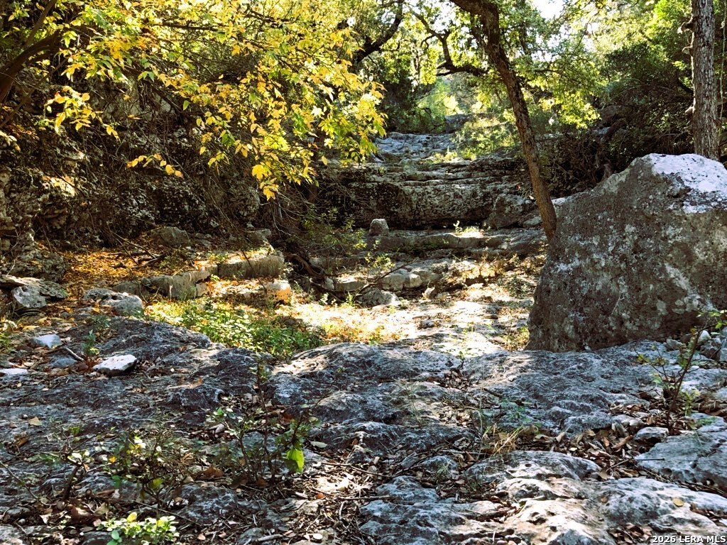 Picture 40