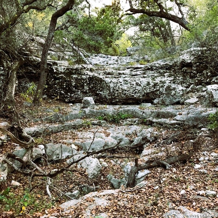 Picture 46