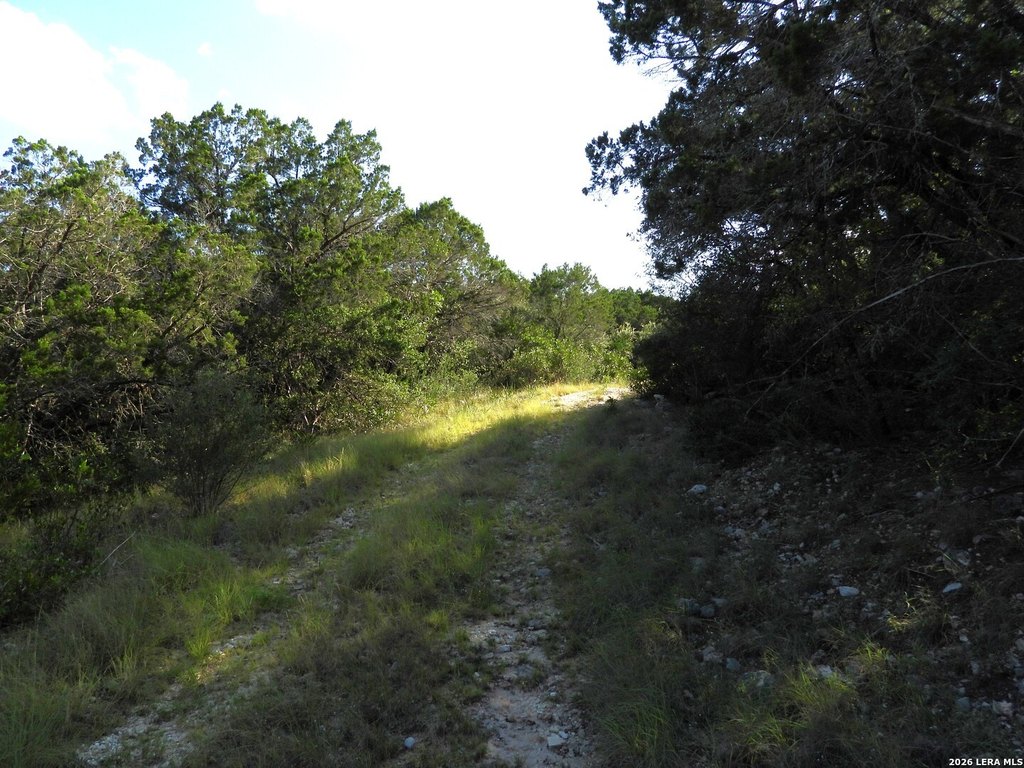 Picture 19