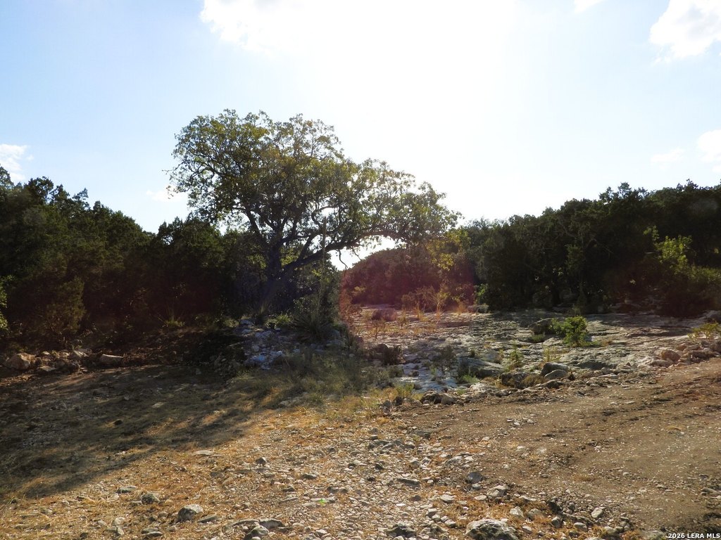 Picture 23