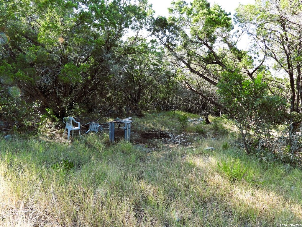Picture 20