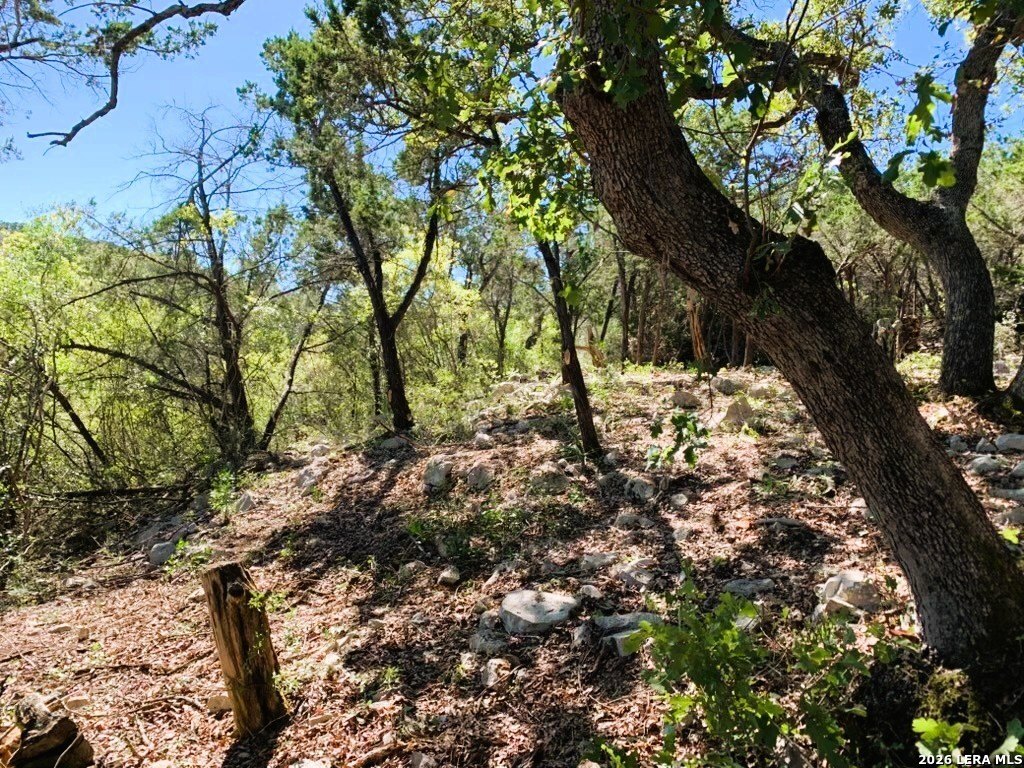 Picture 53