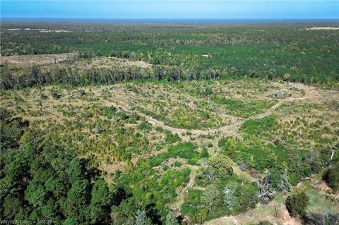 60 Acres Timberland Tract