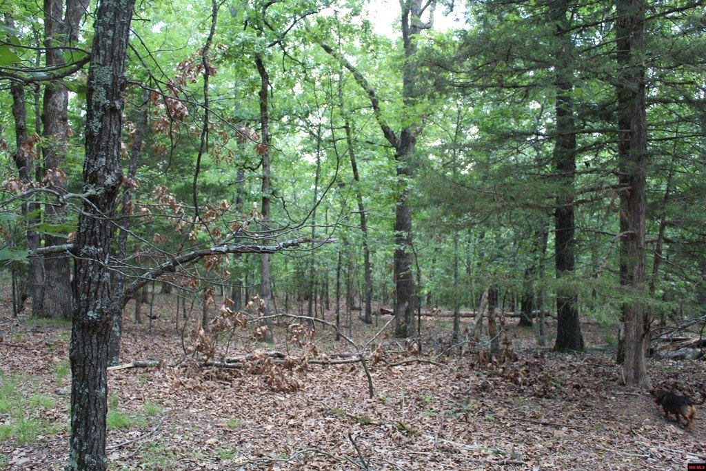 Picture 6