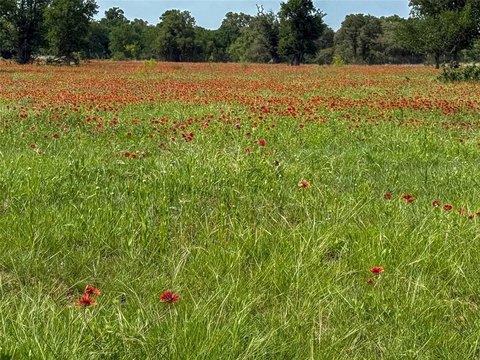Riverfront Acreage Near Lake Brownwood