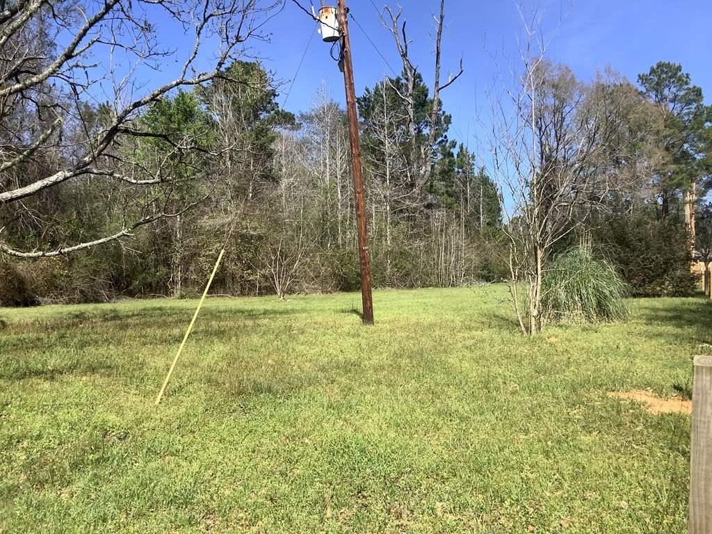 Picture 5