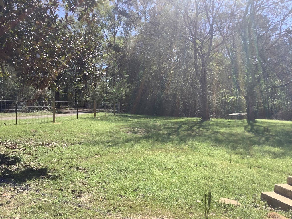 Picture 2