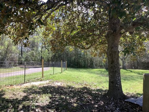 Land for Recreation and Homesite