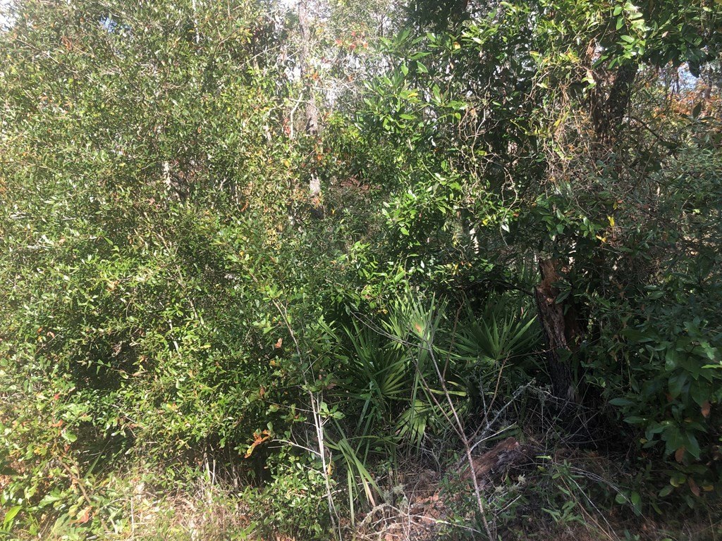 Picture 4