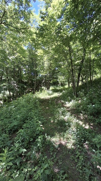 Picture 30