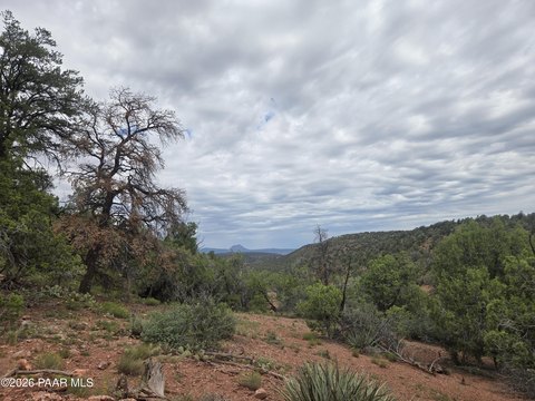 LAND - Ash Fork, AZ