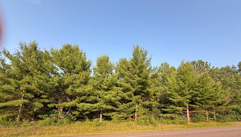 Wooded Buildable Recreation Land