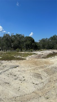 LAND - Lake Placid, FL