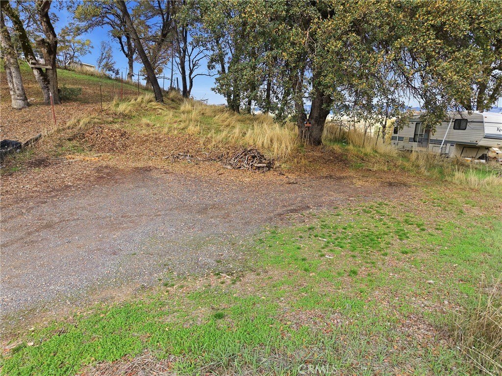 Picture 19