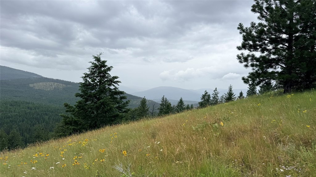 Picture 24