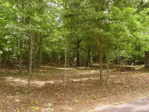 Secluded Lot with Lake Access