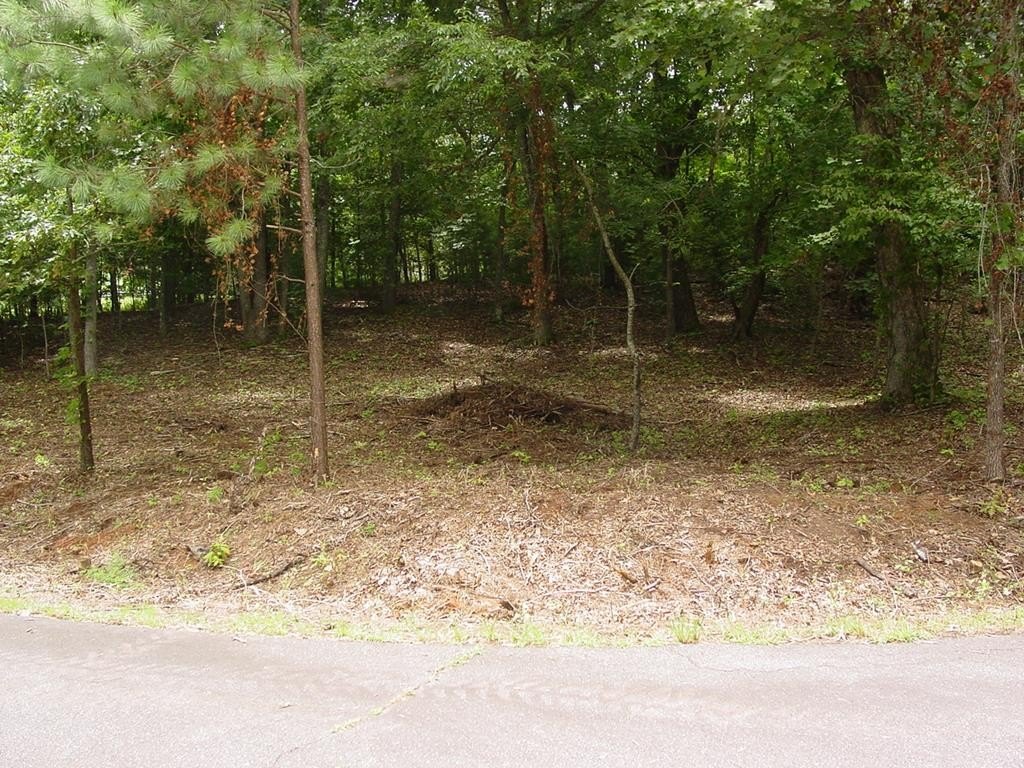Picture 8