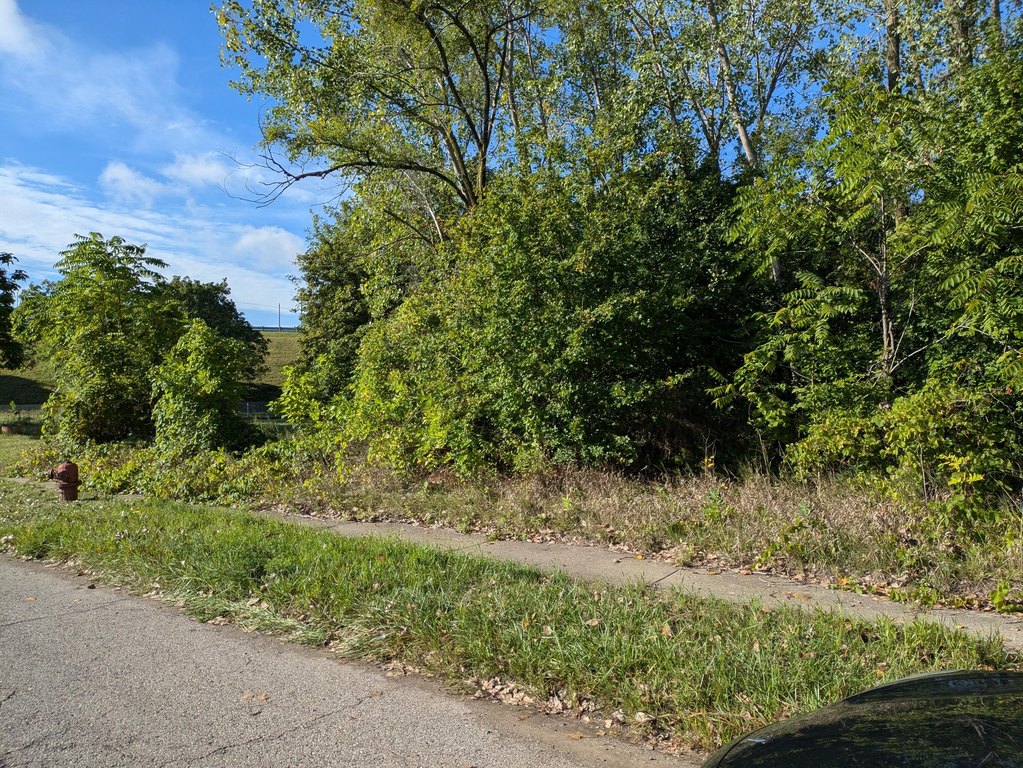 Picture 9