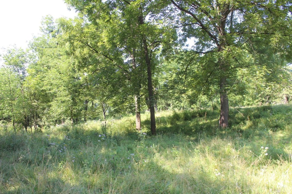 Picture 10